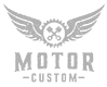 Icon Custom Bike